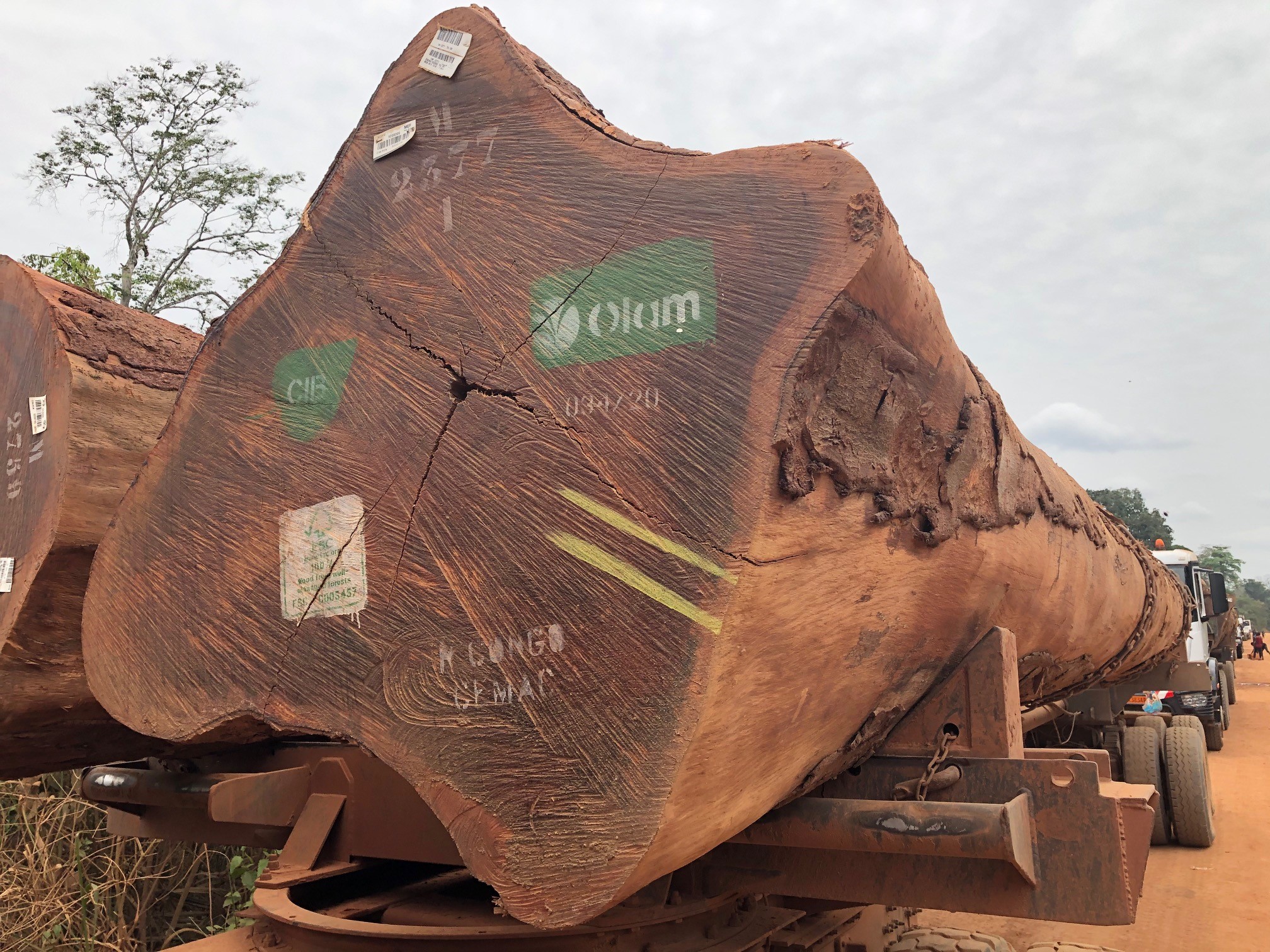 Countering Illegal Logging and Transnational Organized Crime in Central ...